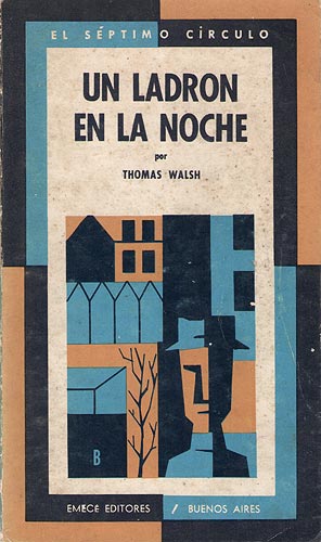 Un ladrón en la noche